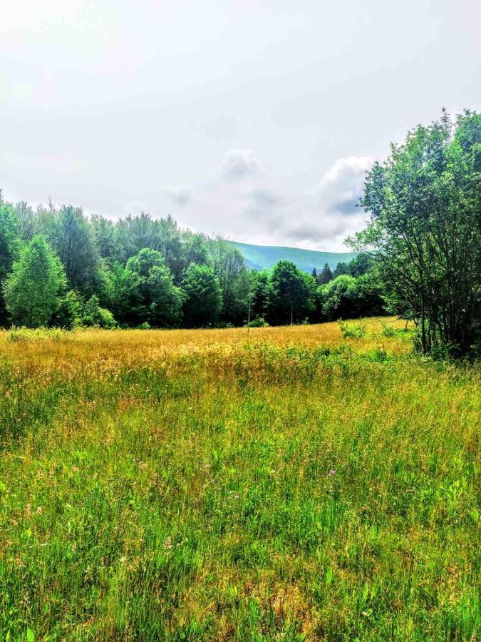Котедж "Магур" Bukovets Dış mekan fotoğraf