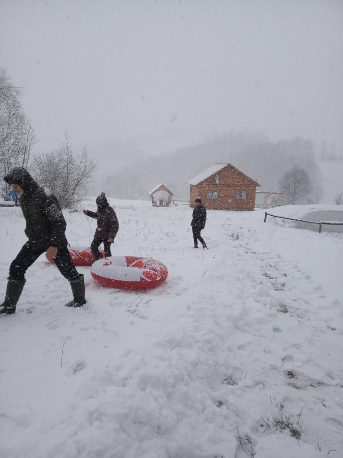 Котедж "Магур" Bukovets Dış mekan fotoğraf
